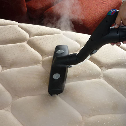 Mattress-Cleaning-babylon-New-York-Dust-mites-&-other-pests